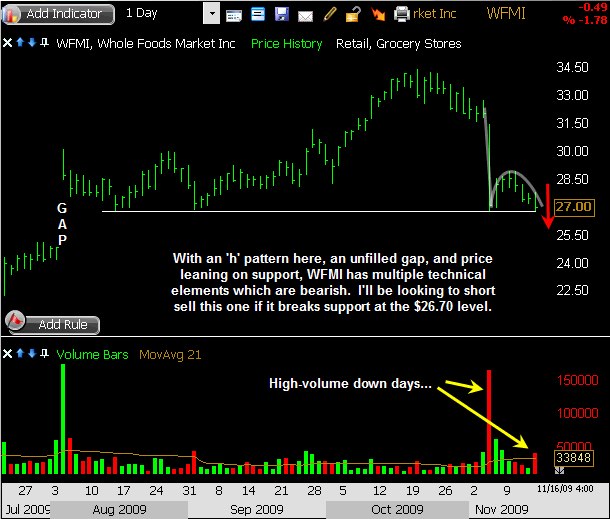 WFMI-11162009 WFMI-11162009