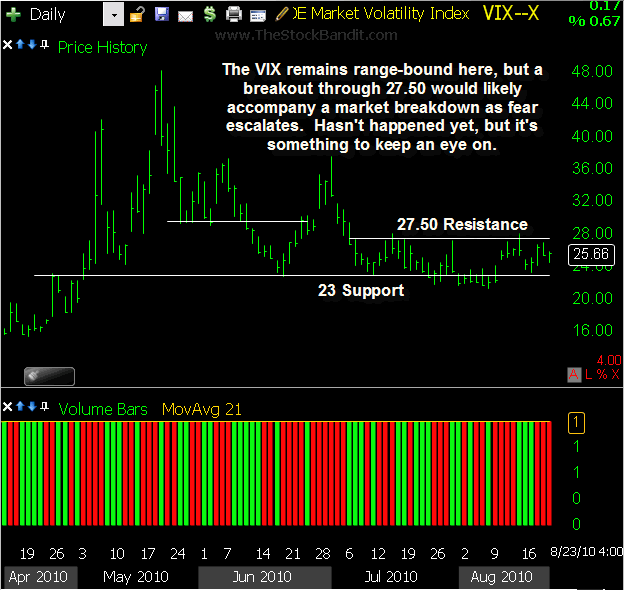 VIX-08232010
