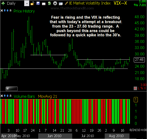 VIX-08242010