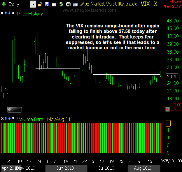 VIX-08252010