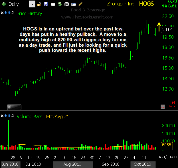 HOGS-10212010