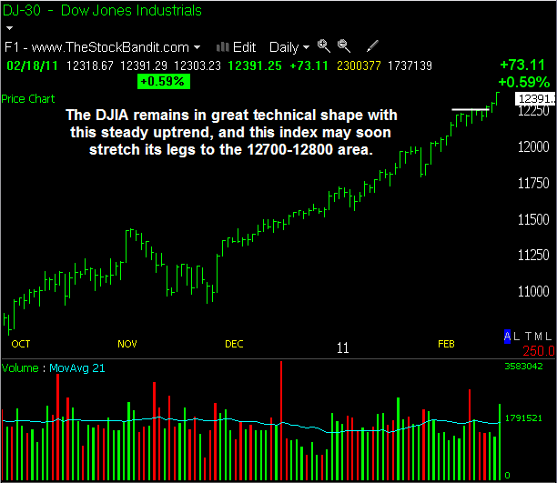 DJIA-02212011 DJIA-02212011