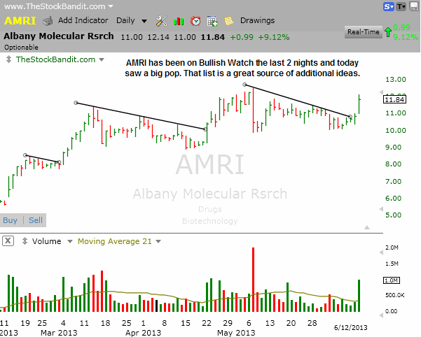 AMRI-06122013