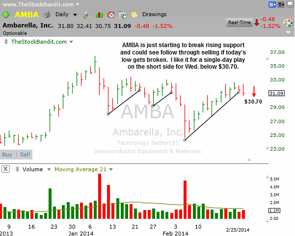 AMBA-02252014