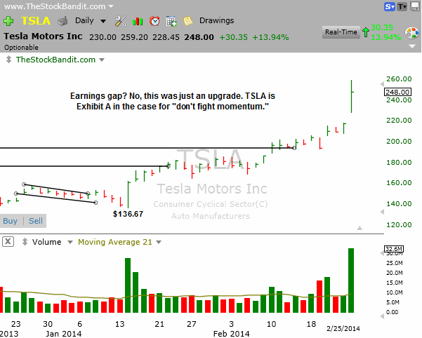 TSLA-02252014